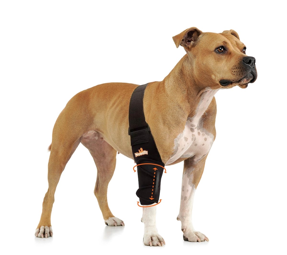 NeoAlly Elbow & Shoulder Brace with Spring Inserts for Dogs & Cats Neoallypets