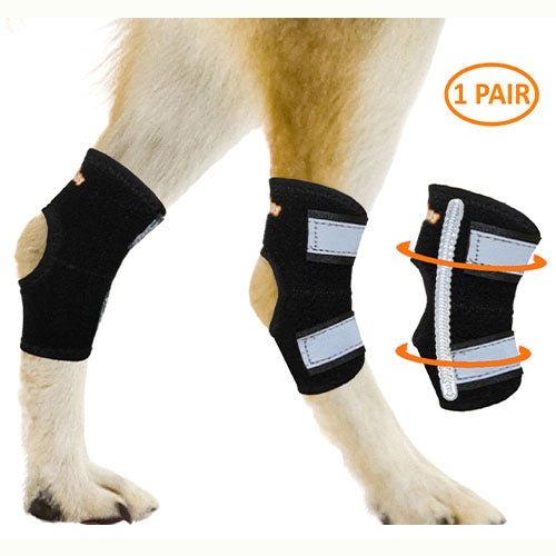 NeoAlly rear leg hock brace with metal spring strips for small dogs