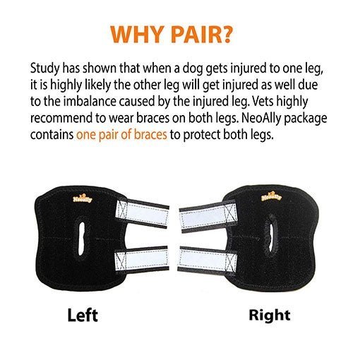 NeoAlly Rear Leg Hock Brace with Metal Spring Strips – Small Dogs, Short Version (Pair) Neoallypets