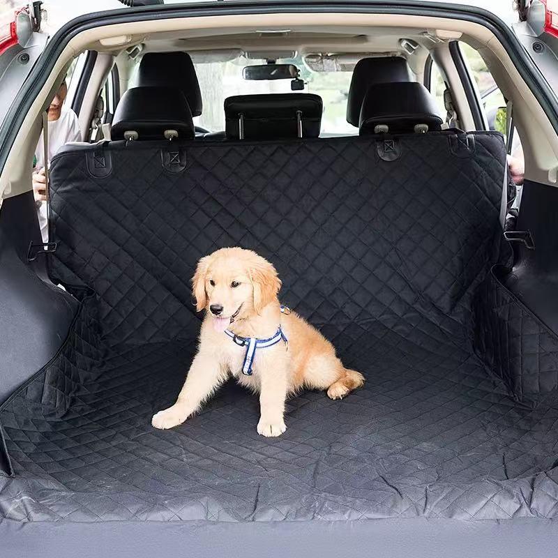 Puppy sitting on a black car mat in the back of a vehicle