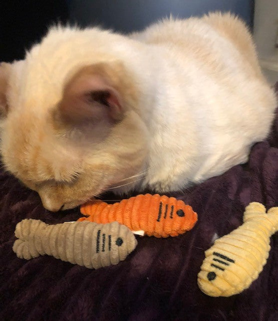 HuggleKats® Sardinies Catnip & Crinkle Cat Toys – 3-Pack HuggleHounds