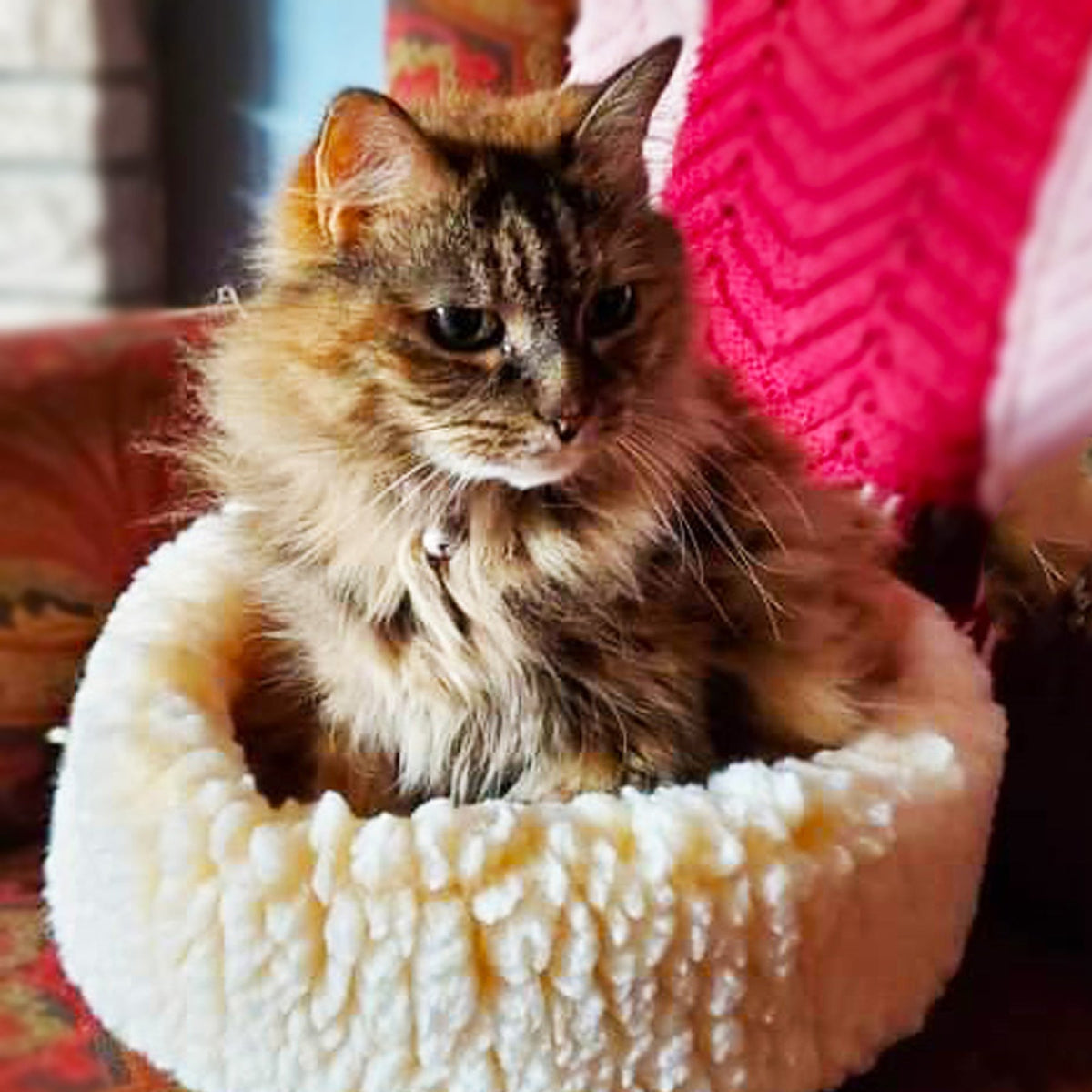 HuggleFleece® HuggleSnuggler™ Pet Bed – Soft, Washable Bed for Cats & Small Dogs HuggleHounds