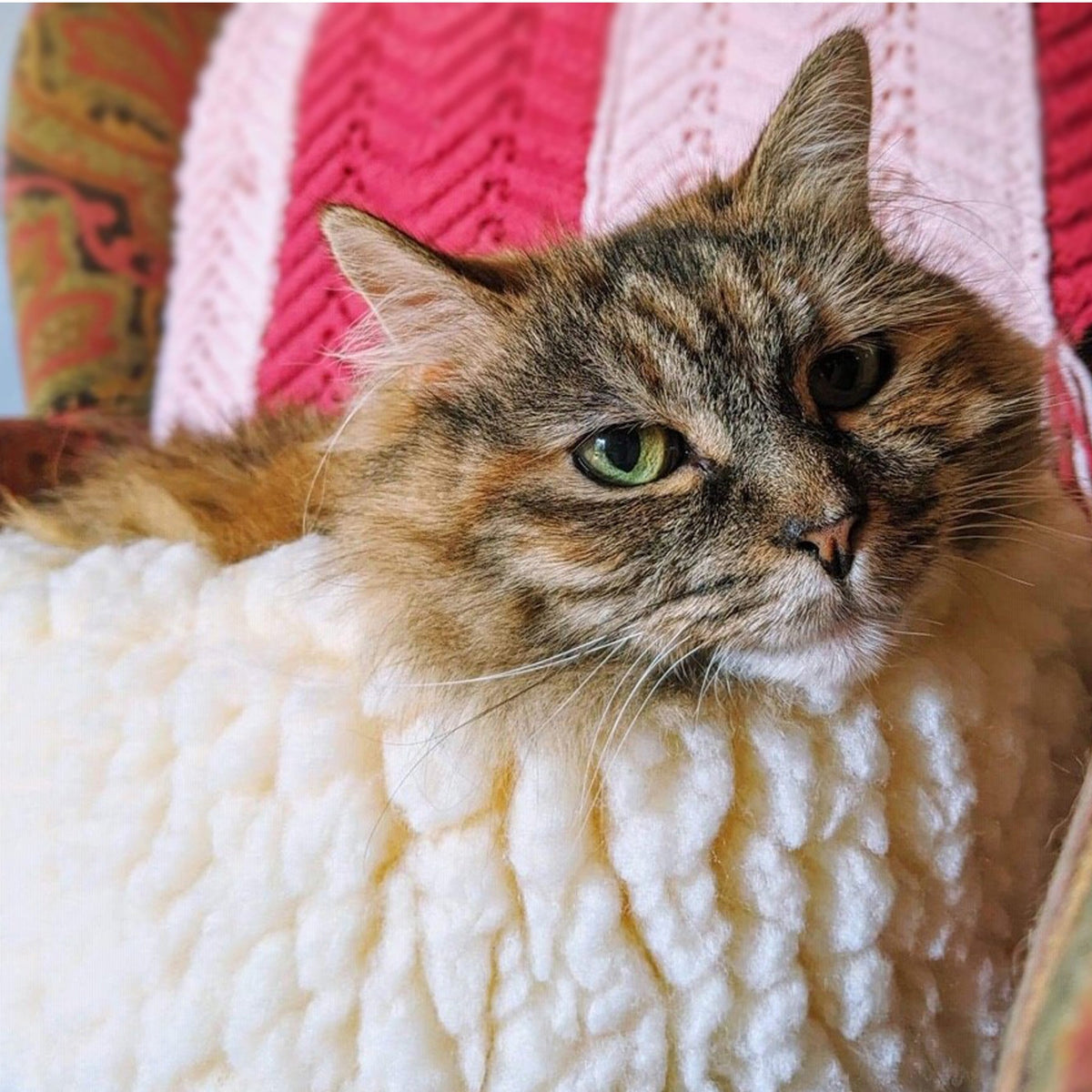 HuggleFleece® HuggleSnuggler™ Pet Bed – Soft, Washable Bed for Cats & Small Dogs HuggleHounds