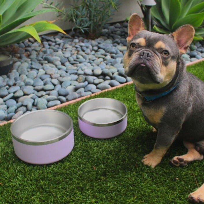 Tilley + Me Stainless Steel Pet Bowl | Non-Slip, Dishwasher Safe | 32oz & 64oz Tilley + Me