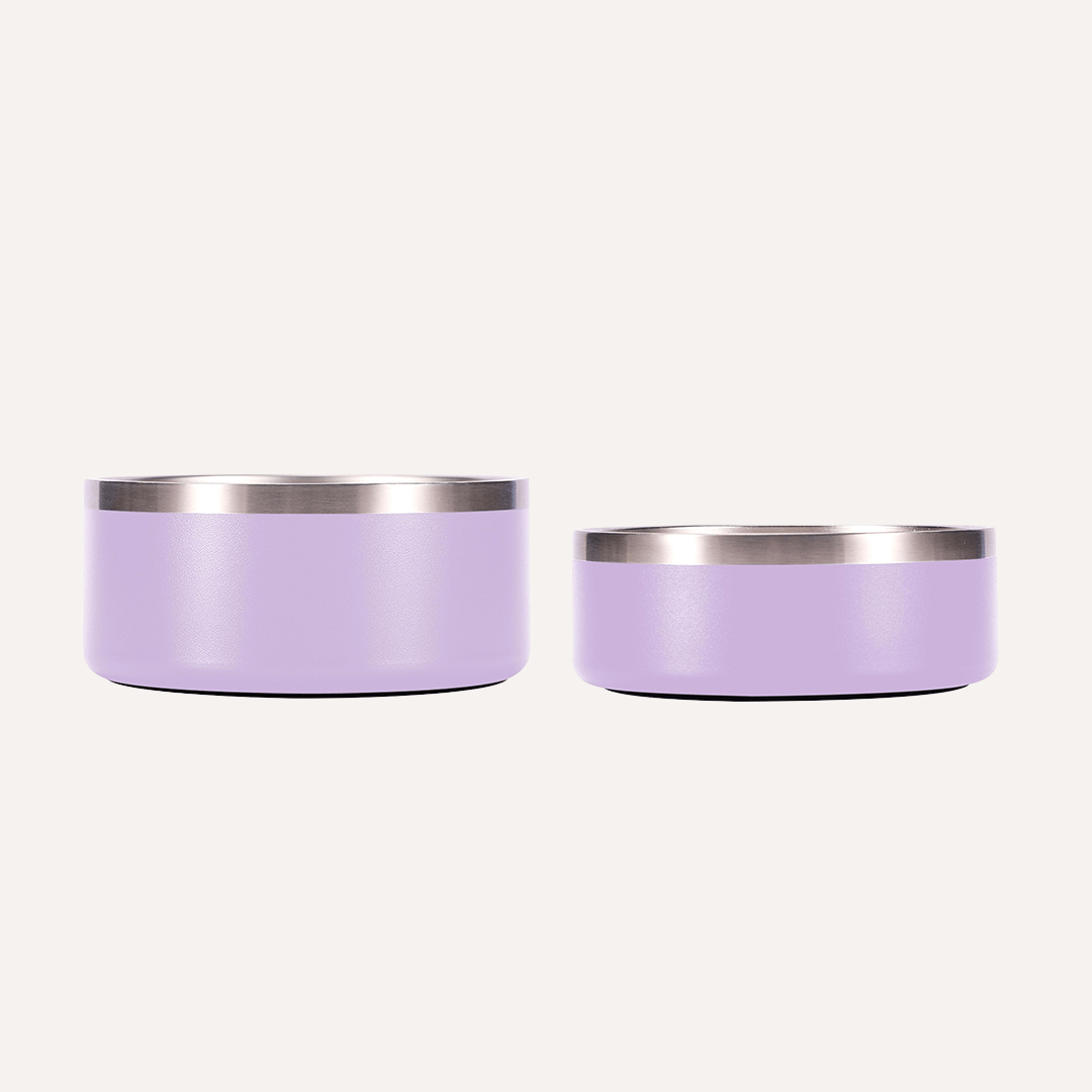 Tilley + Me Stainless Steel Pet Bowl | Non-Slip, Dishwasher Safe | 32oz & 64oz Tilley + Me
