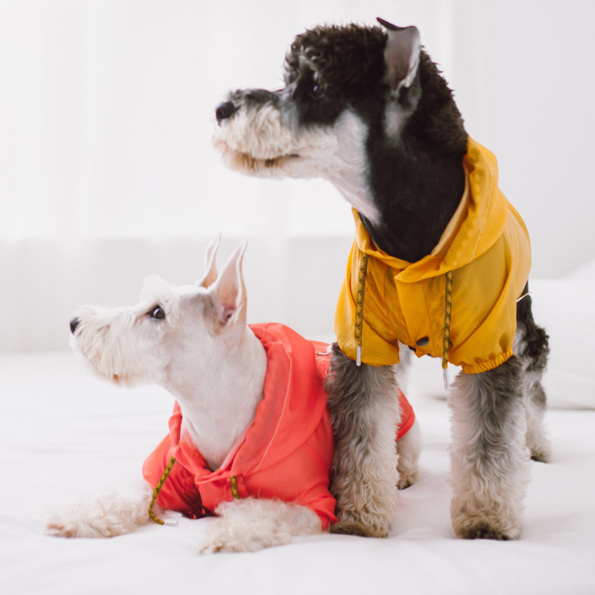Touchdog Split-Vent Waterproof Dog Raincoat | Reflective, Hooded & Adjustable | XS–XL Pet Life