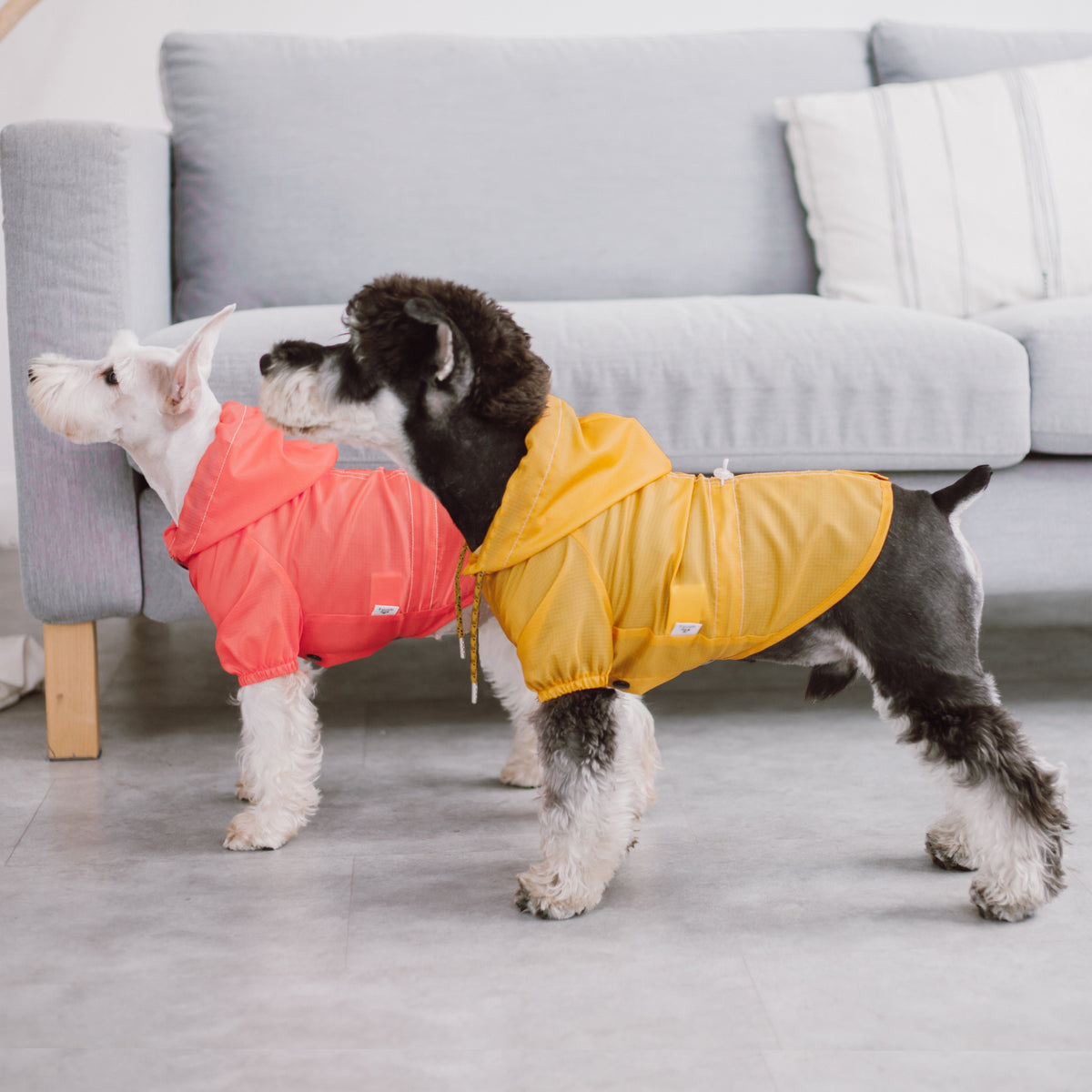 Touchdog Split-Vent Waterproof Dog Raincoat | Reflective, Hooded & Adjustable | XS–XL Pet Life