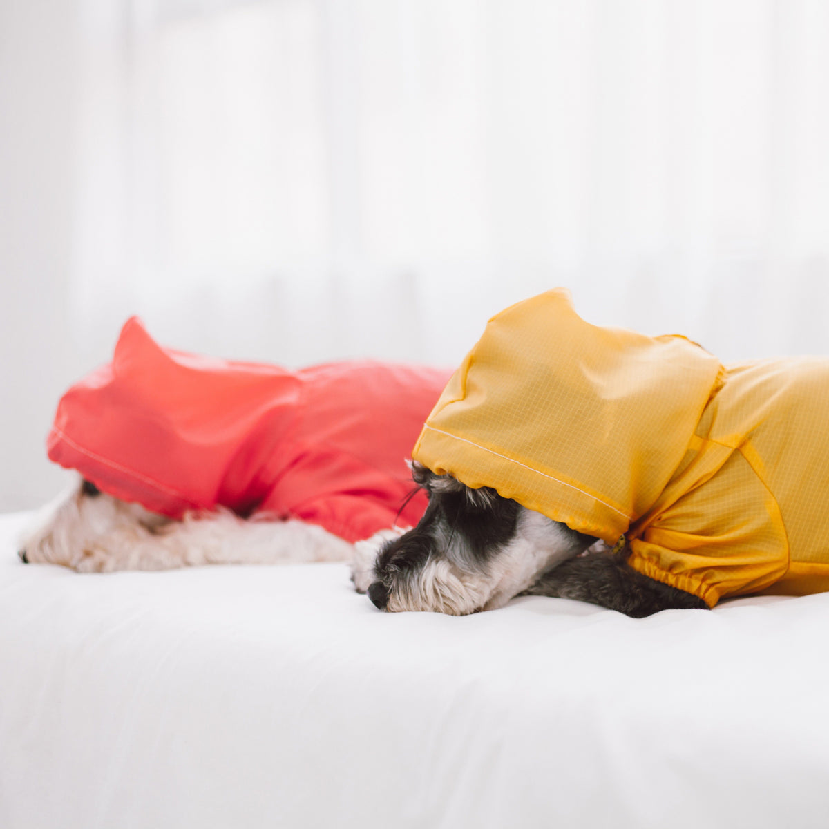 Touchdog Split-Vent Waterproof Dog Raincoat | Reflective, Hooded & Adjustable | XS–XL Pet Life