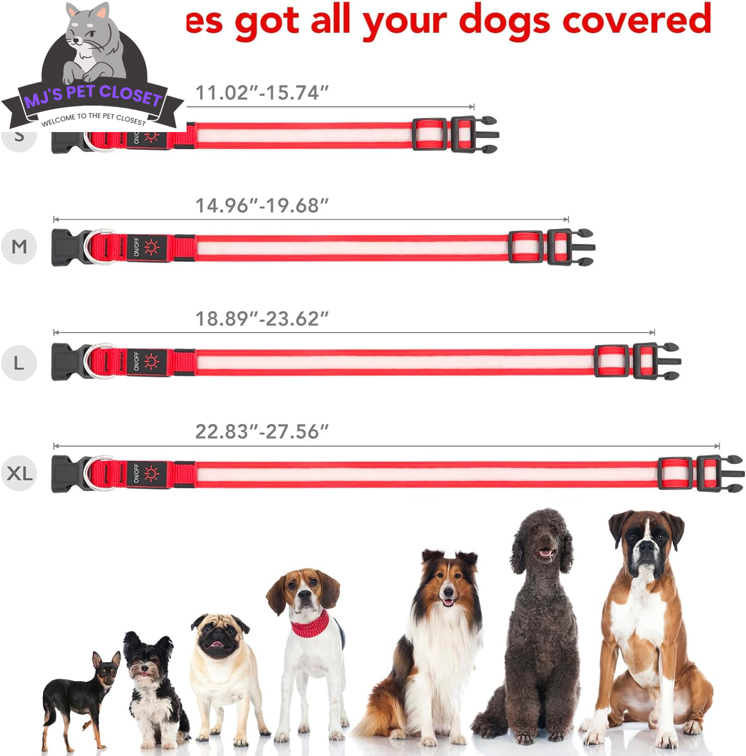 USB Rechargeable LED Dog Collar – Adjustable, Water Resistant MJ's Pet Closet