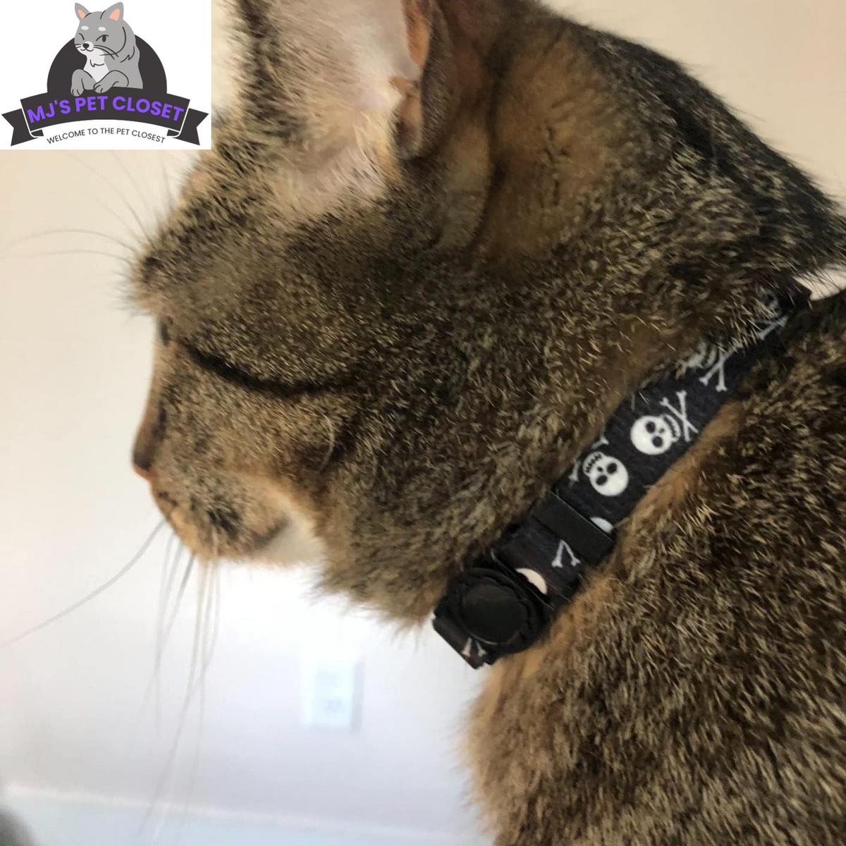 Breakaway Cat Collar 2-Pack – Pink & Black Skull Design MJ's Pet Closet