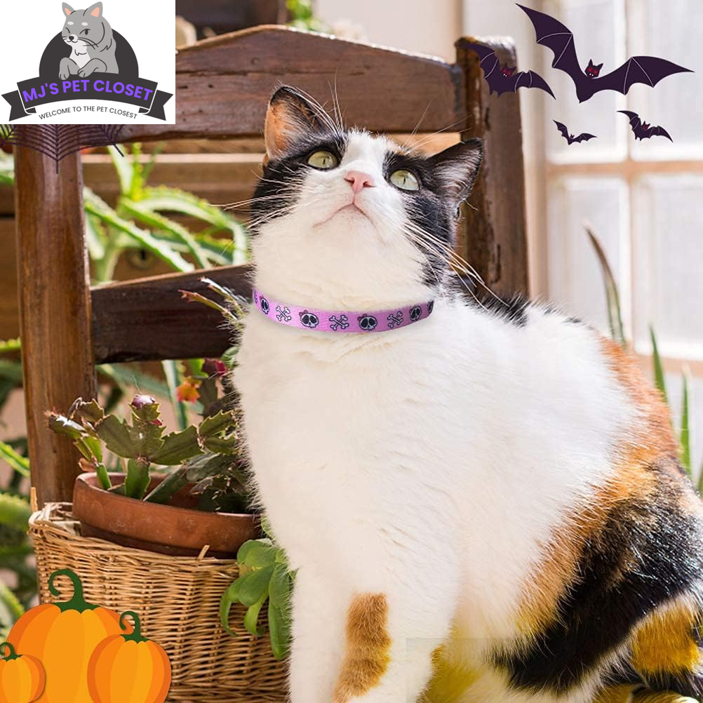 Breakaway Cat Collar 2-Pack – Pink & Black Skull Design MJ's Pet Closet