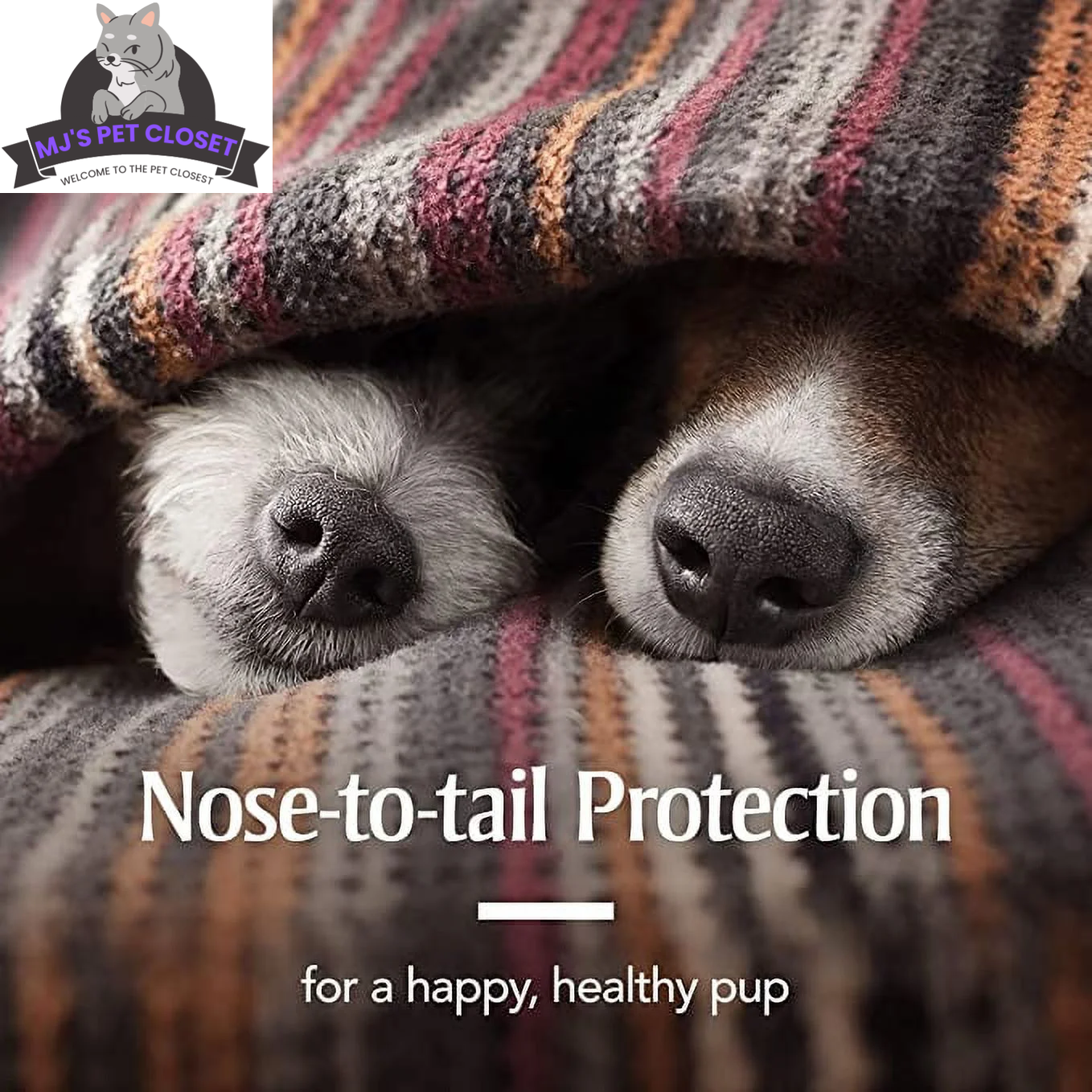 PetArmor Plus Flea & Tick Collar for Dogs – 6-Month Protection MJ's Pet Closet