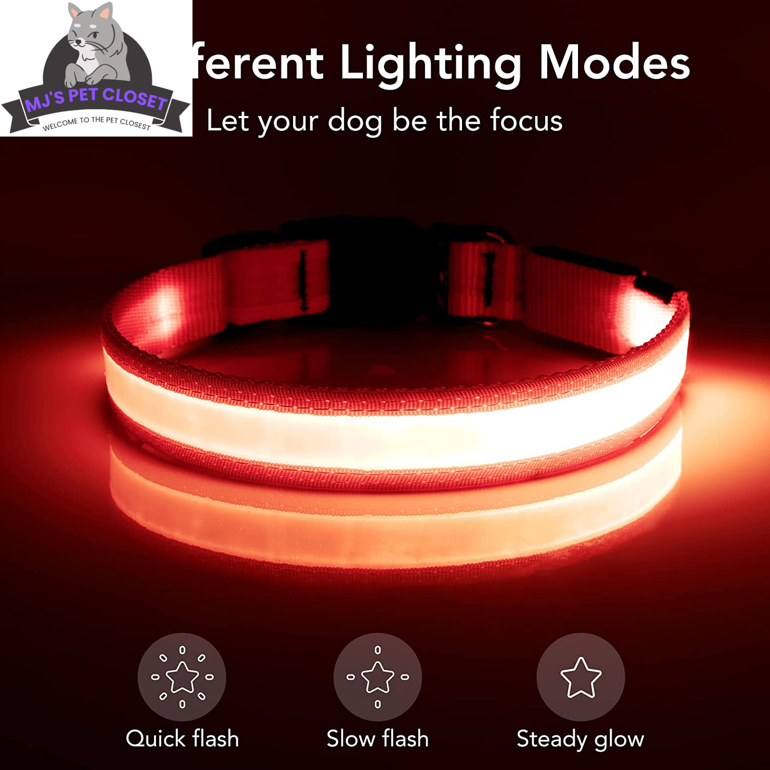 USB Rechargeable LED Dog Collar – Adjustable, Water Resistant MJ's Pet Closet