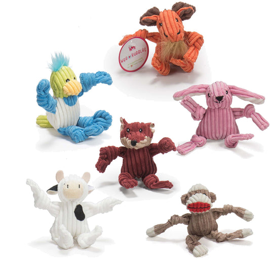 Set of colorful dog toys on a white background